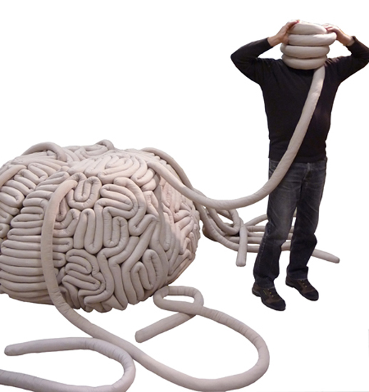 brain
