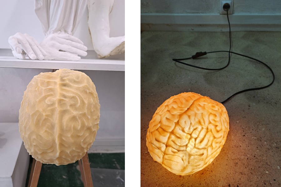 cerveau 10
