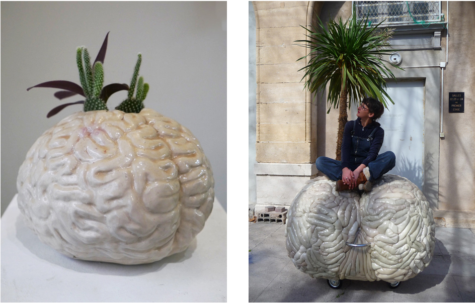 cerveau3