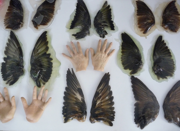 papillon